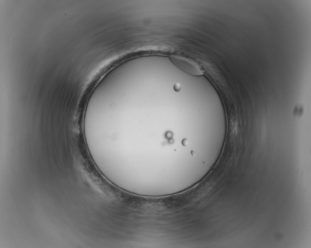 X0000111230628200907161317