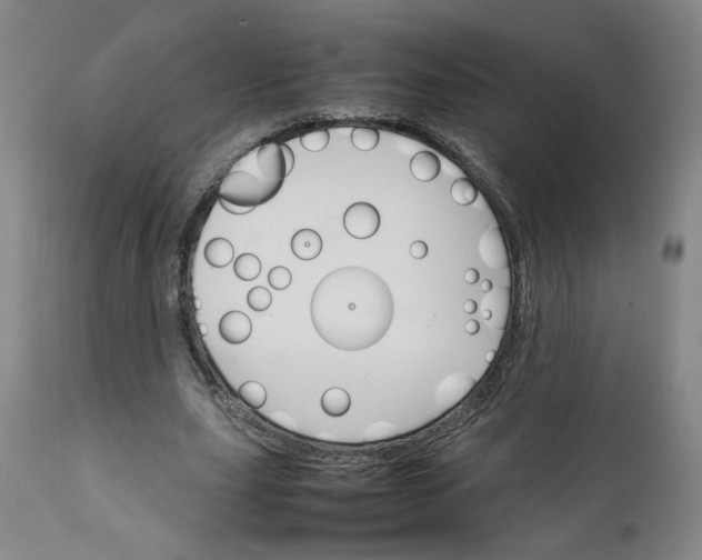 X0000111230631200907161317