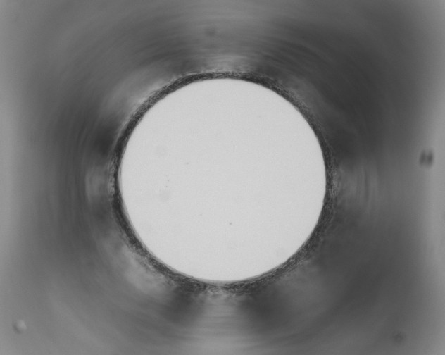 X0000111230632200907161317