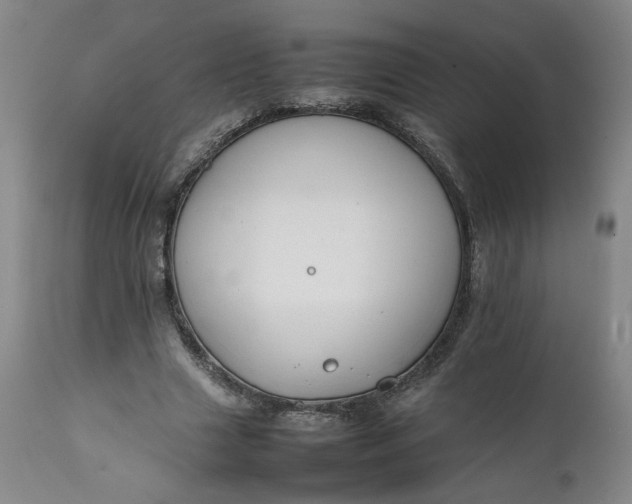 X0000111230633200907161317