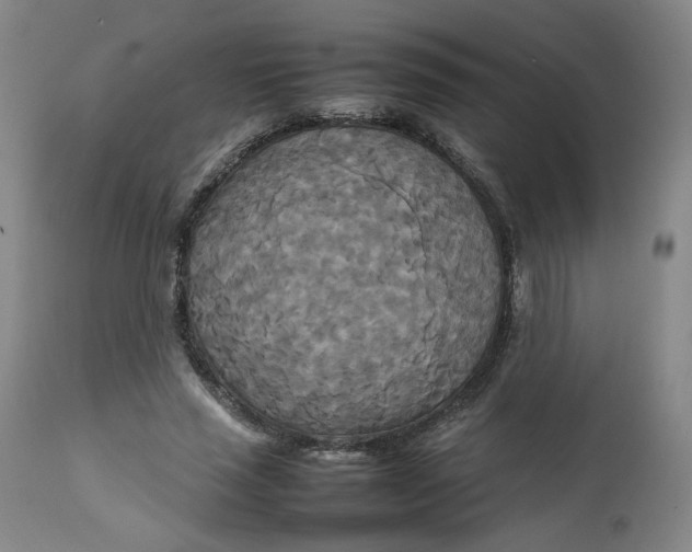 X0000111230637200907161318