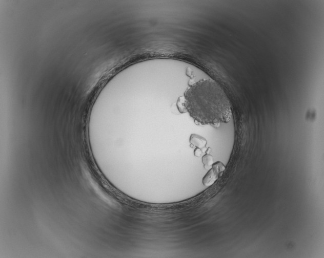 X0000111230638200907161318