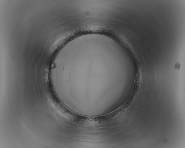 X0000111230640200907161318