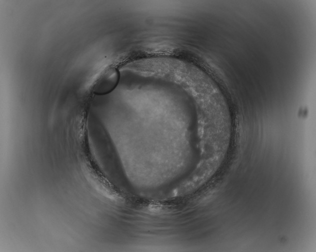 X0000111230641200907161318