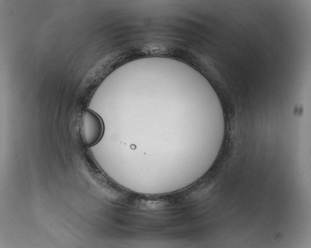 X0000111230645200907161318