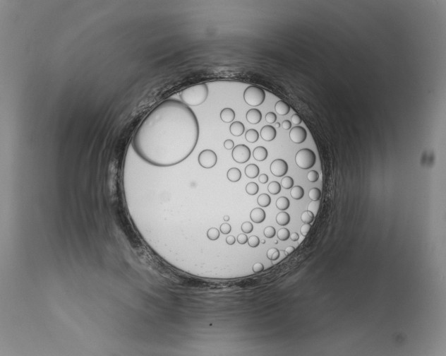 X0000111230646200907161318