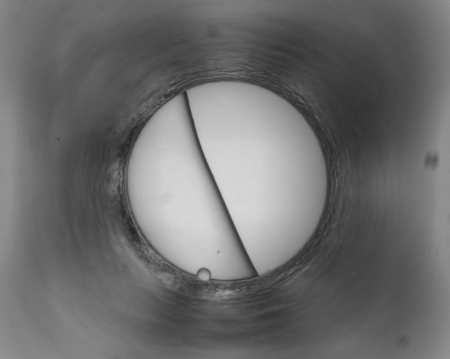 X0000111230647200907161318