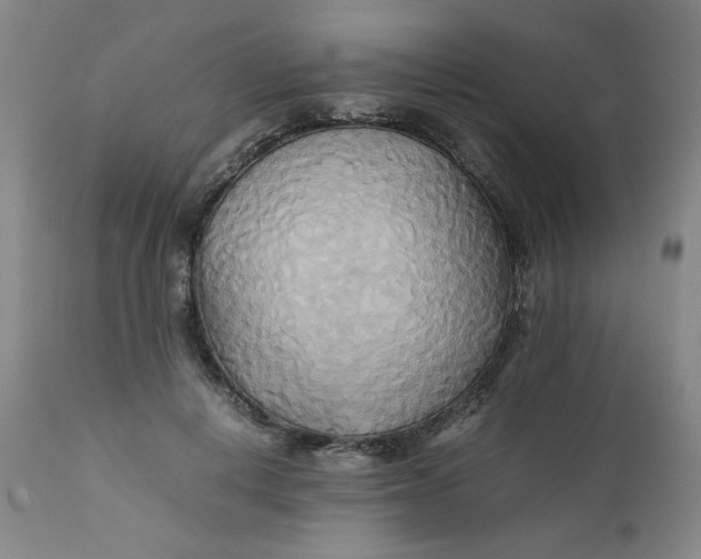 X0000111230648200907161318