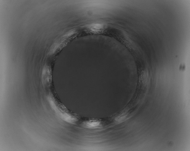 X0000111230651200907161318