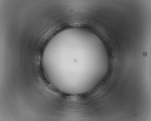 X0000111230652200907161318