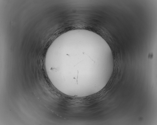 X0000111230655200907161318