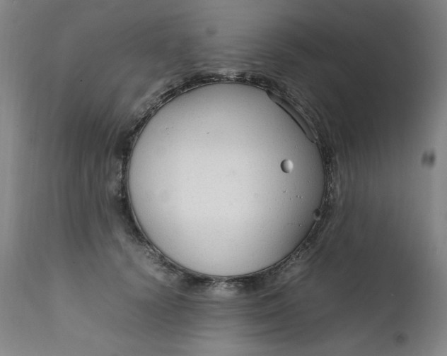 X0000111230656200907161318