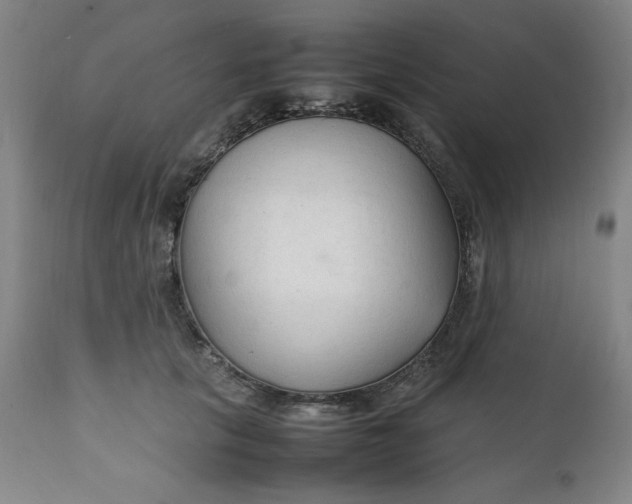 X0000111230657200907161318