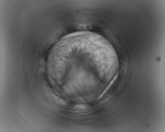 X0000111230659200907161318
