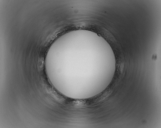 X0000111230660200907161318