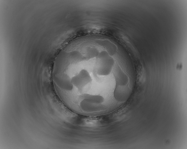 X0000111230661200907161318