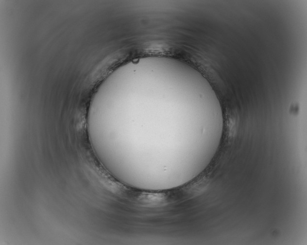 X0000111230665200907161318