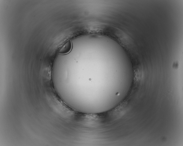 X0000111230666200907161318