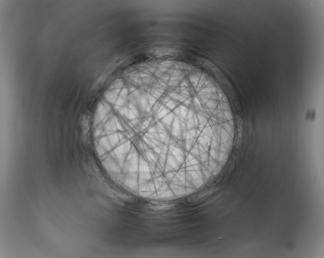 X0000111230667200907161318