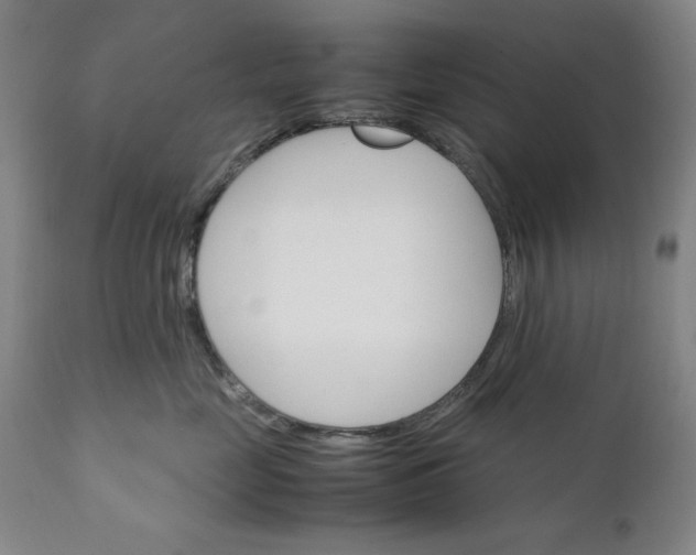 X0000111230669200907161318