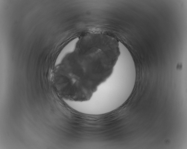 X0000111230671200907161318