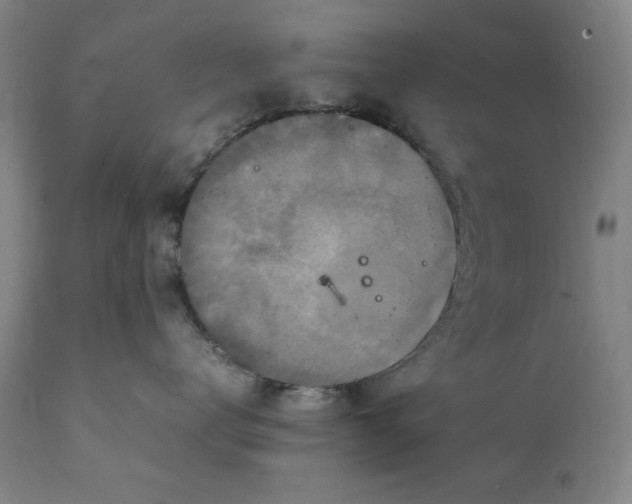 X0000111230672200907161318