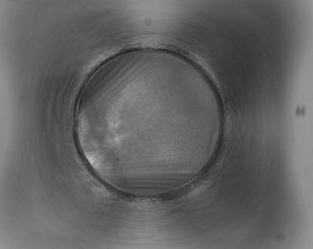 X0000111230673200907161317