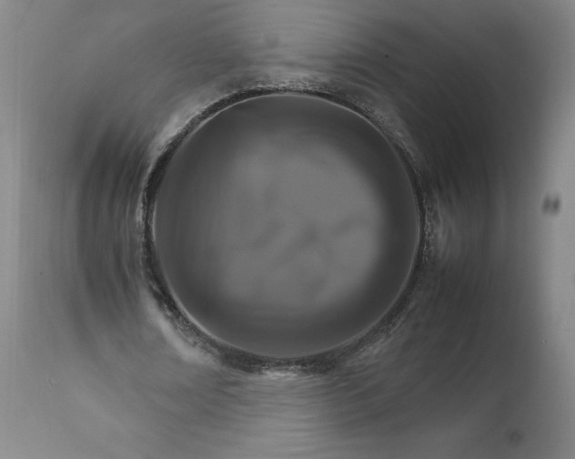 X0000111230674200907161317
