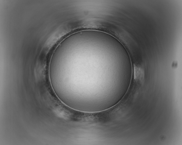X0000111230675200907161317