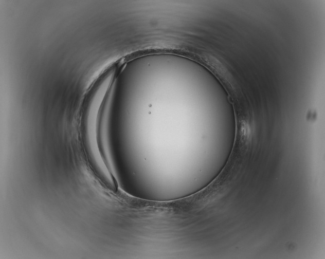 X0000111230676200907161317