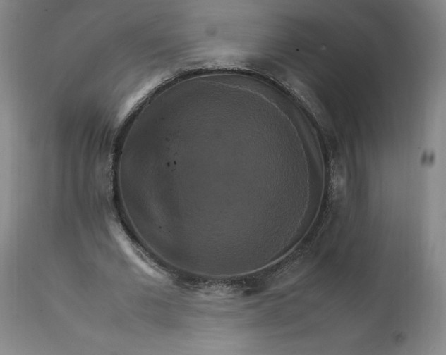 X0000111230677200907161317