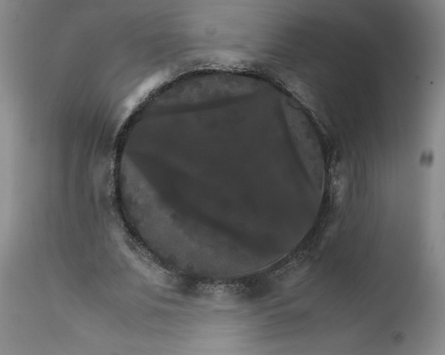 X0000111230679200907161317