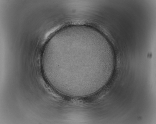 X0000111230681200907161317