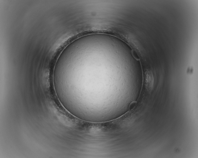 X0000111230684200907161317