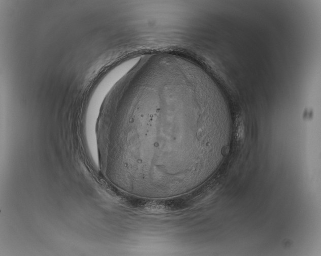X0000111230685200907161317