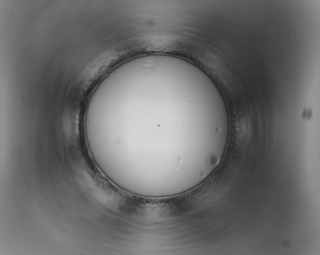 X0000111230686200907161317
