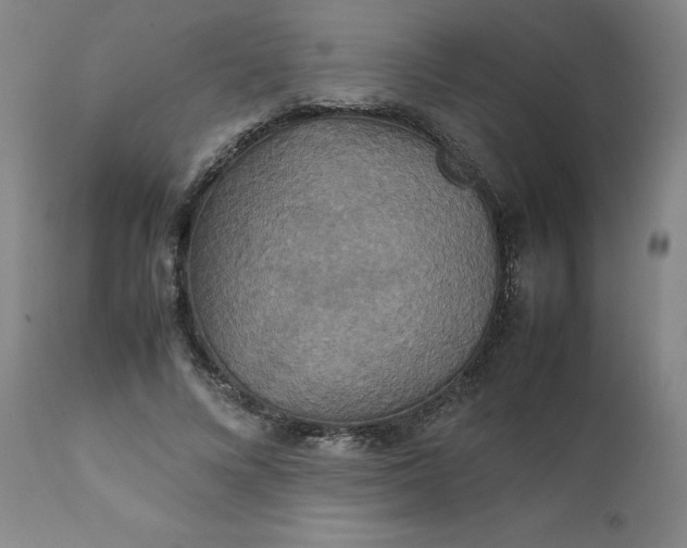 X0000111230688200907161317