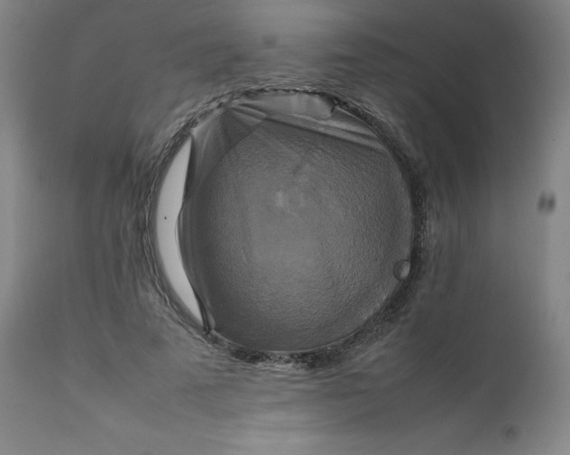 X0000111230689200907161317