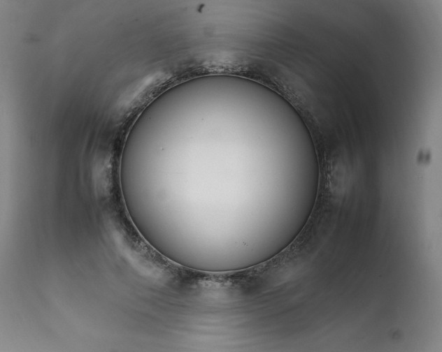 X0000111230690200907161317