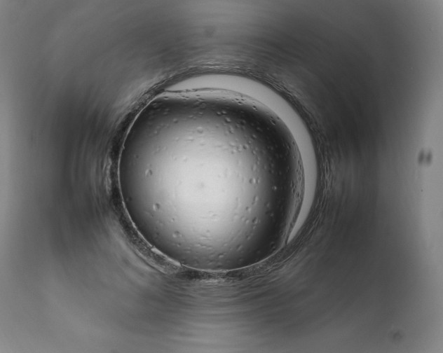 X0000111230692200907161317