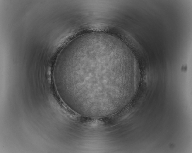 X0000111230696200907161317