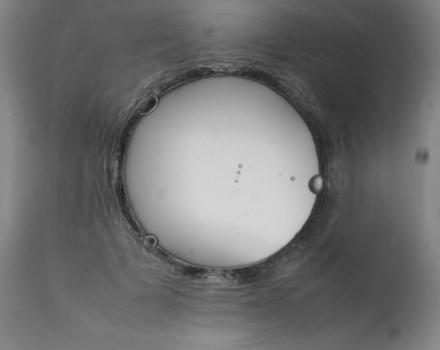 X0000111230697200907161317