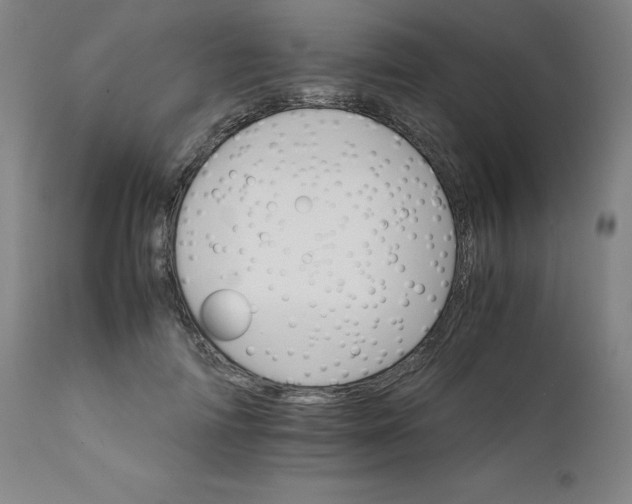 X0000111230698200907161317