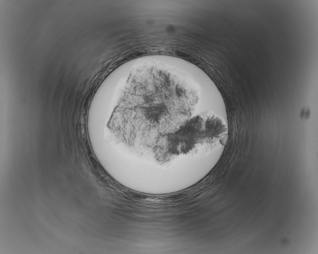 X0000111230699200907161317