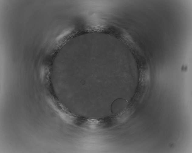 X0000111230701200907161317
