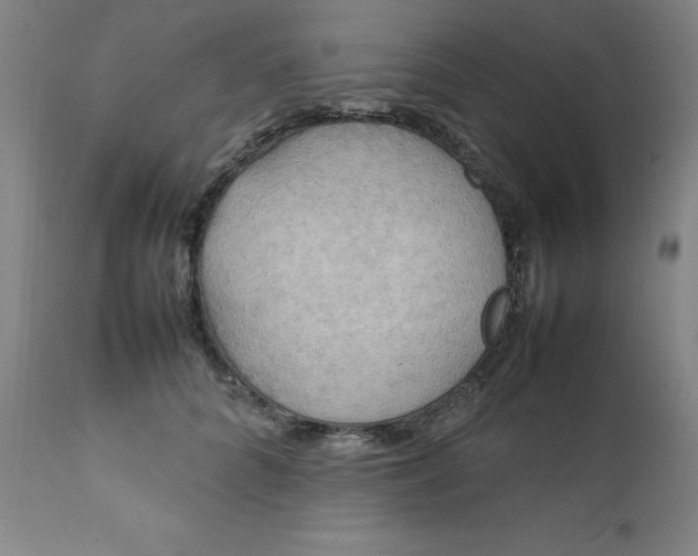 X0000111230704200907161317