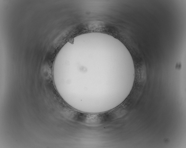 X0000111230705200907161317
