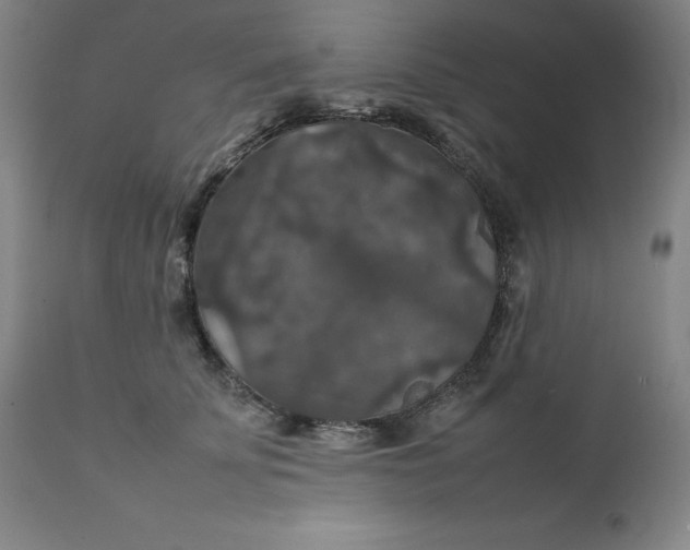 X0000111230707200907161317