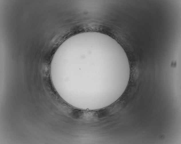 X0000111230709200907161317