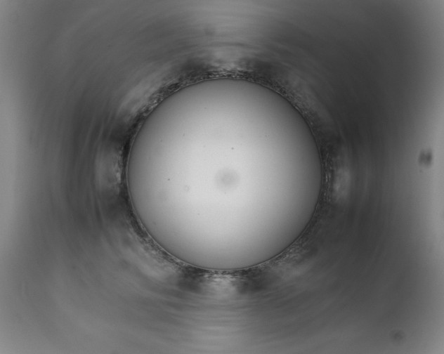 X0000111230710200907161317